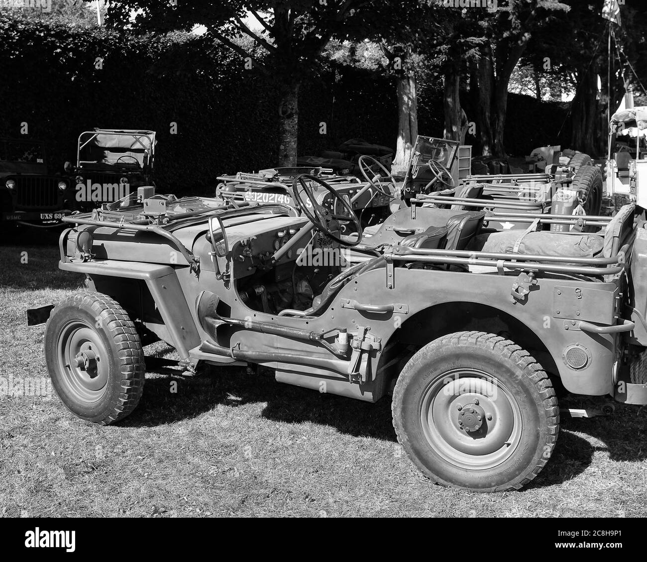 Settembre 2019 - Willys Jeep al Goodwood Revival Foto Stock