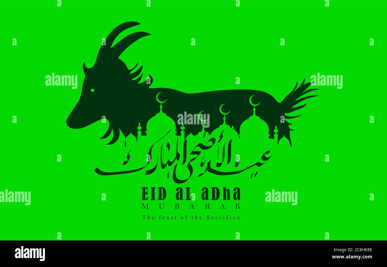 Vettore illustrazione di una vacanza musulmana Eid al-Adha. EID ul adha mubarak è scritto in calligrafia Urdu. Cressent o Luna con Lanterna Illustrazione Vettoriale