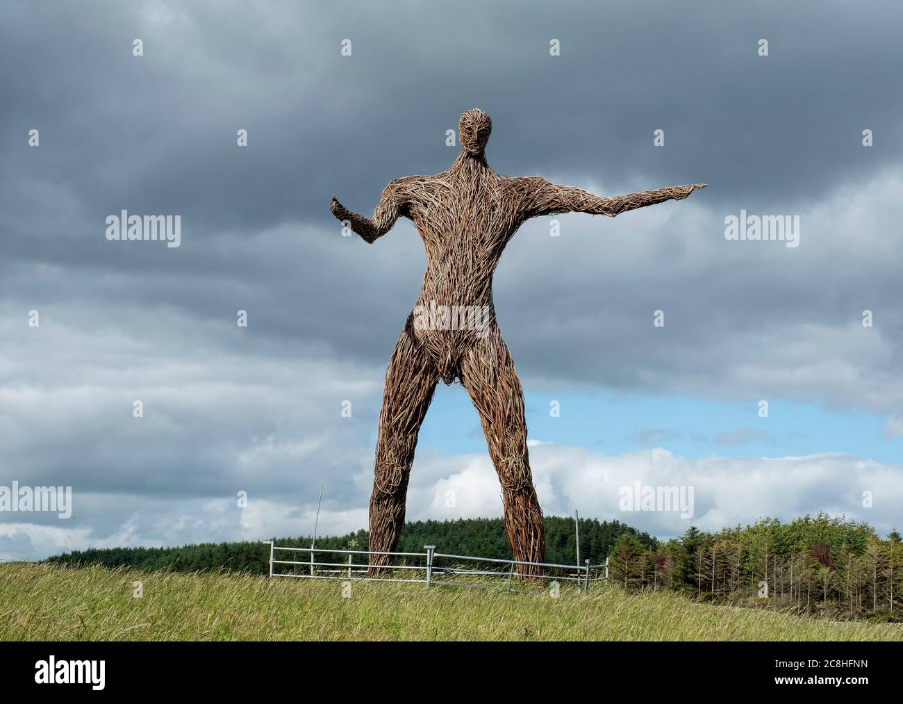 Una scultura uomo in vimini si trova in un campo rurale vicino a Dudrennan, Dumfries e Galloway, Scozia Foto Stock