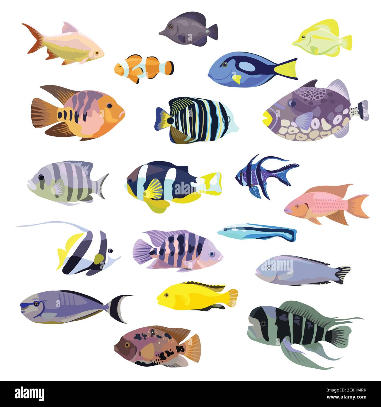 Grande insieme di pesci corallini tropicali colorati, isolati su bianco. Illustrazione vettoriale. Illustrazione Vettoriale