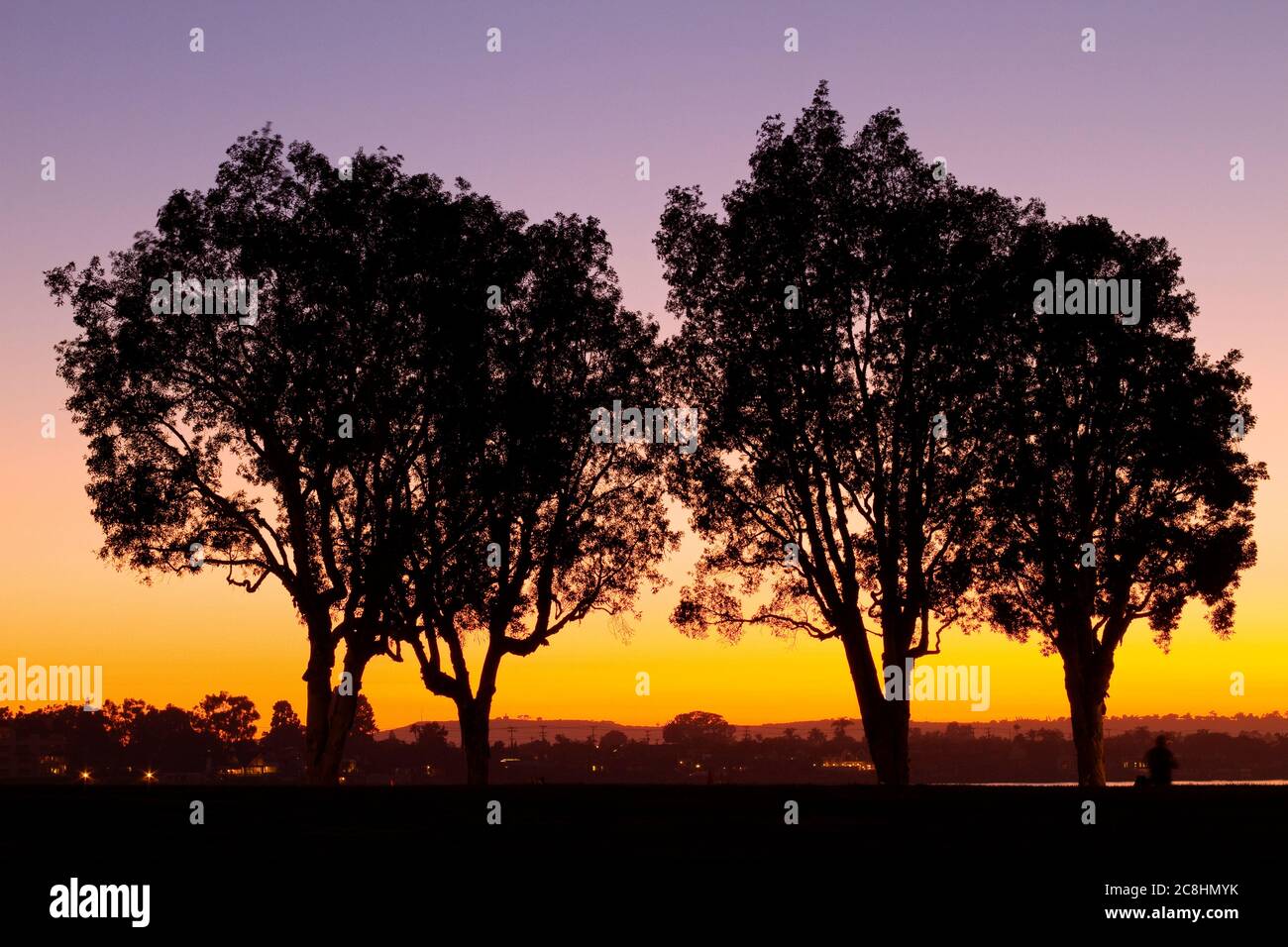 Silhouette di alberi, Embarcadero Marina al tramonto, San Diego, California, USA Foto Stock