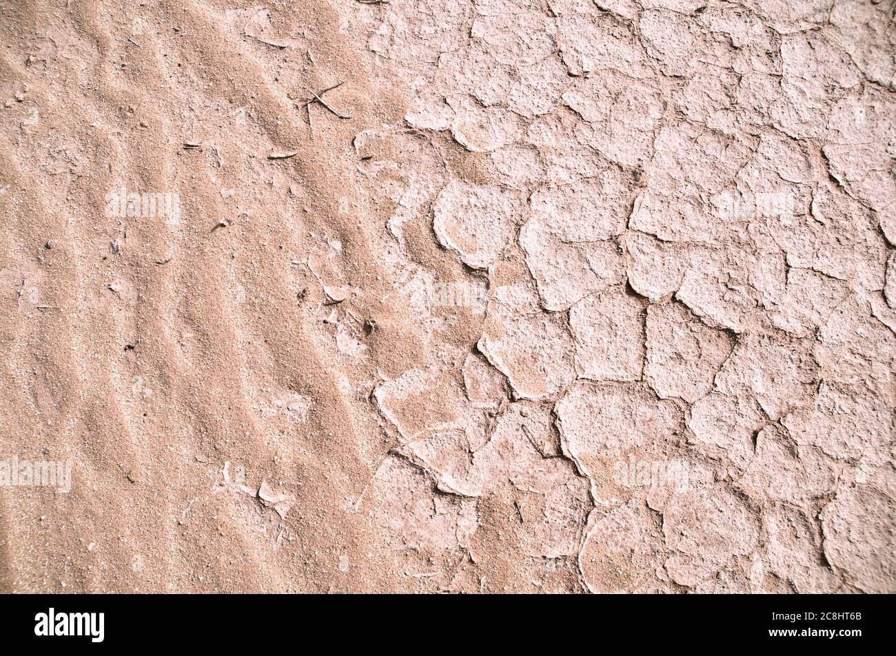 Fango bianco secco, con pascoli e fessurato nel deserto orientale della regione di Badia, Wadi Dahek, Regno hashemita di Giordania. Foto Stock