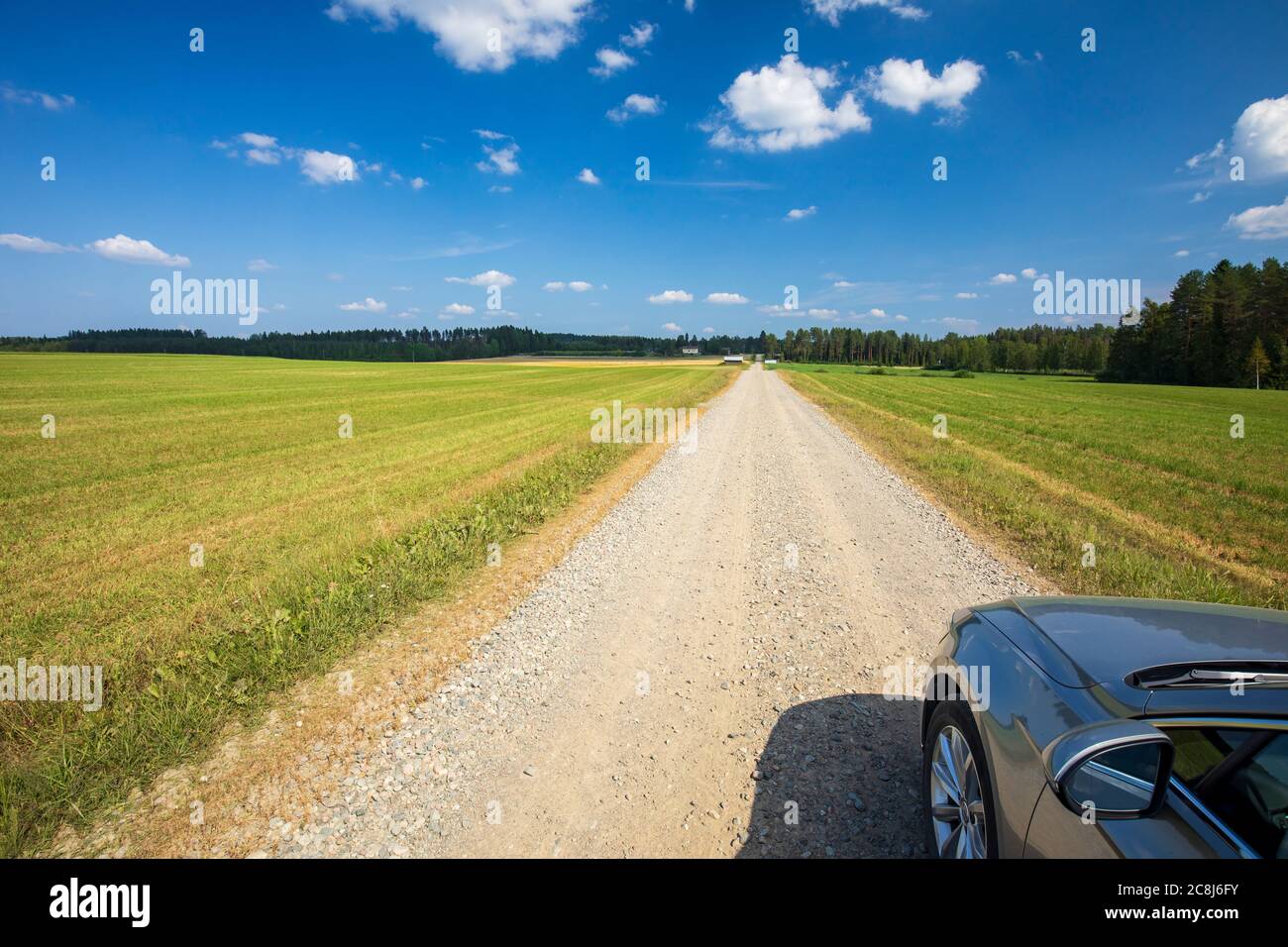 Lunga strada sterrata che attraversa terreni agricoli in estate in campagna, Finlandia Foto Stock