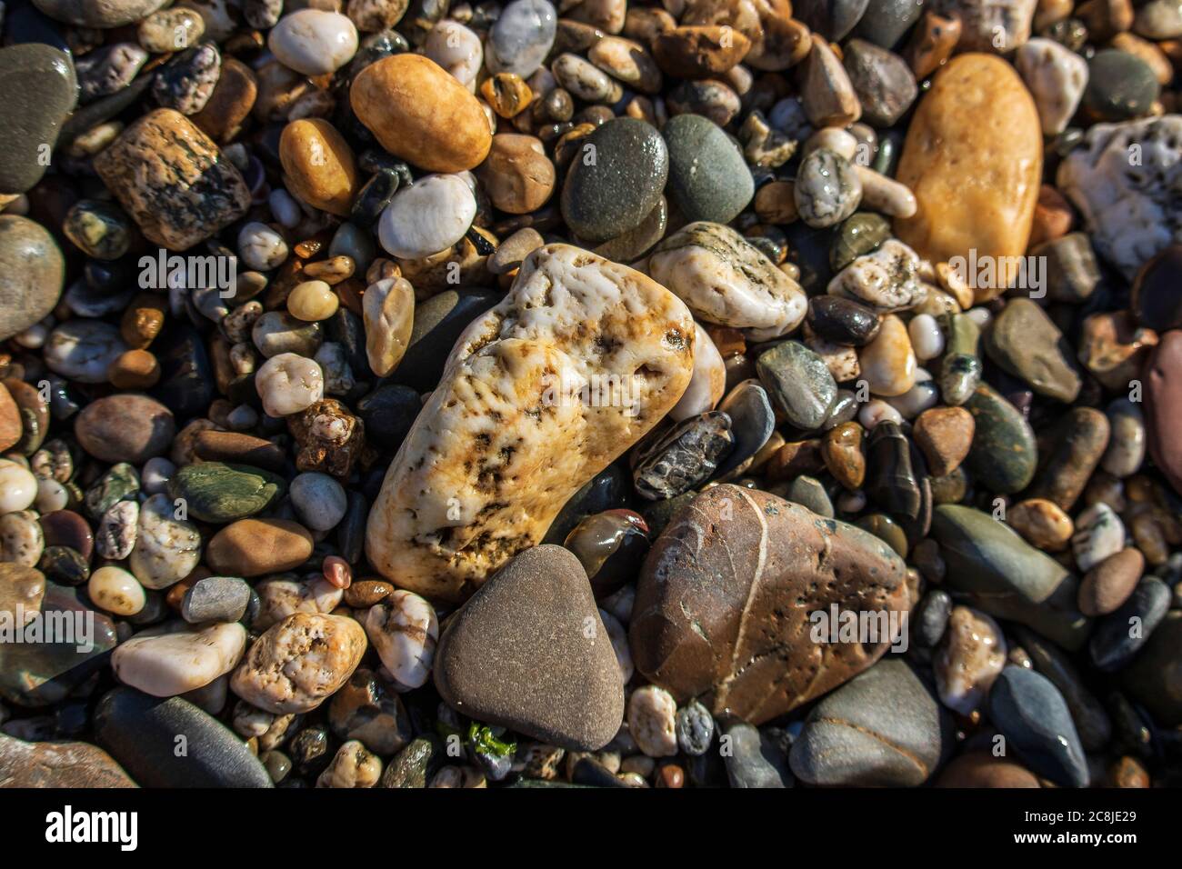 Pietre colorate di PolzeathBeach su una spiaggia inglese in Cornovaglia Foto Stock
