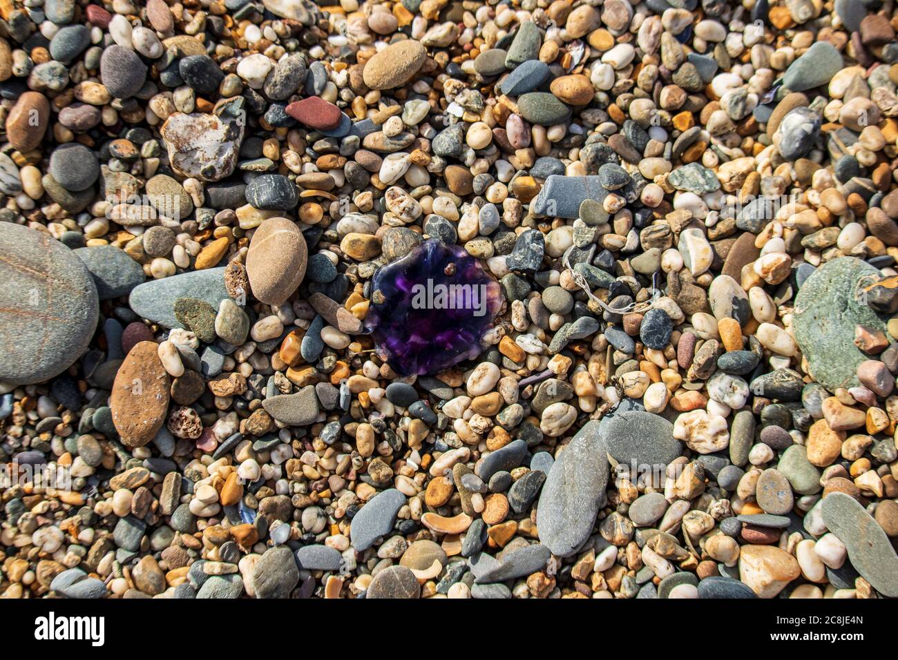Pietre colorate di PolzeathBeach su una spiaggia inglese in Cornovaglia Foto Stock