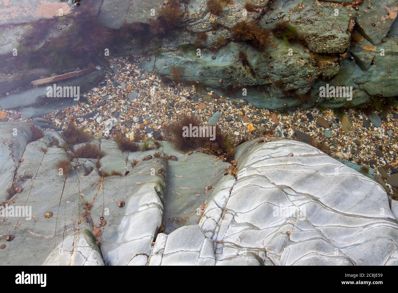 Pietre colorate di PolzeathBeach su una spiaggia inglese in Cornovaglia Foto Stock