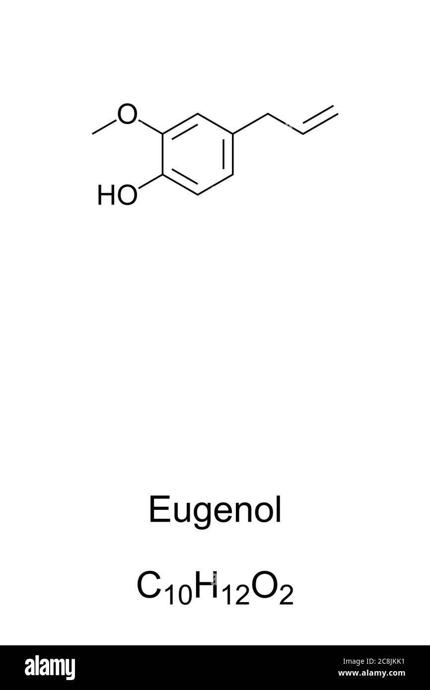 Eugenolo, struttura chimica e formula. Odore di chiodo di garofano. Estratto principalmente da olio di germoglio di chiodo di garofano e olio di foglia di chiodo di garofano. Foto Stock