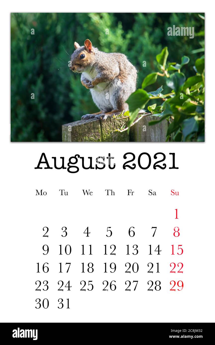 Scheda del calendario per il mese di agosto 2021 Foto Stock