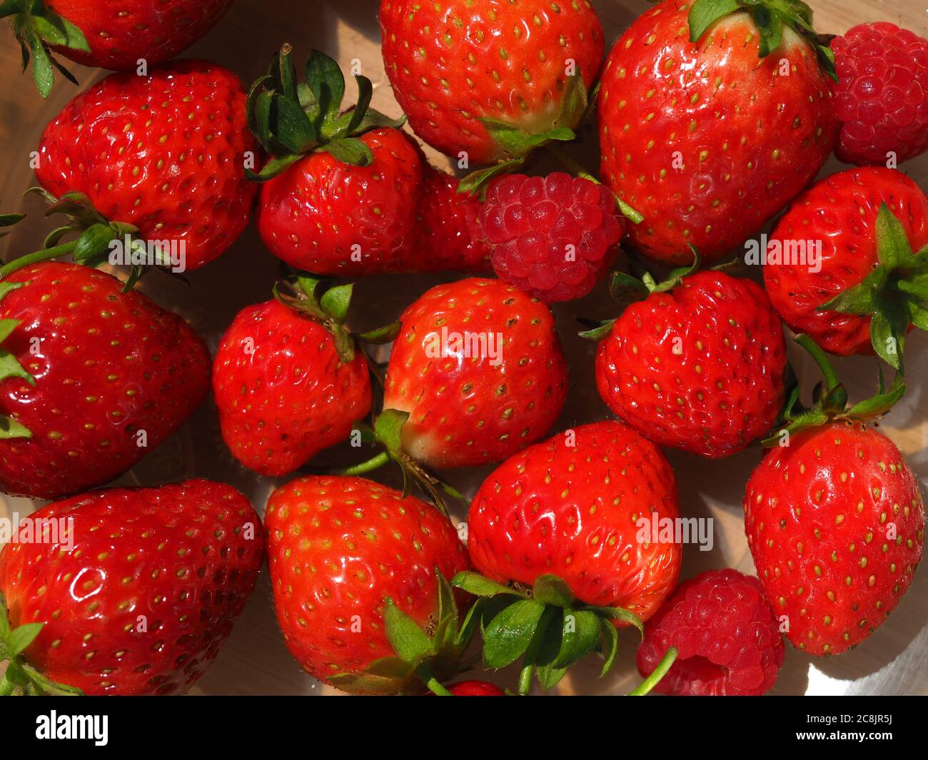 Primo piano di fragole rosse e lamponi raccolti da un giardino Foto Stock