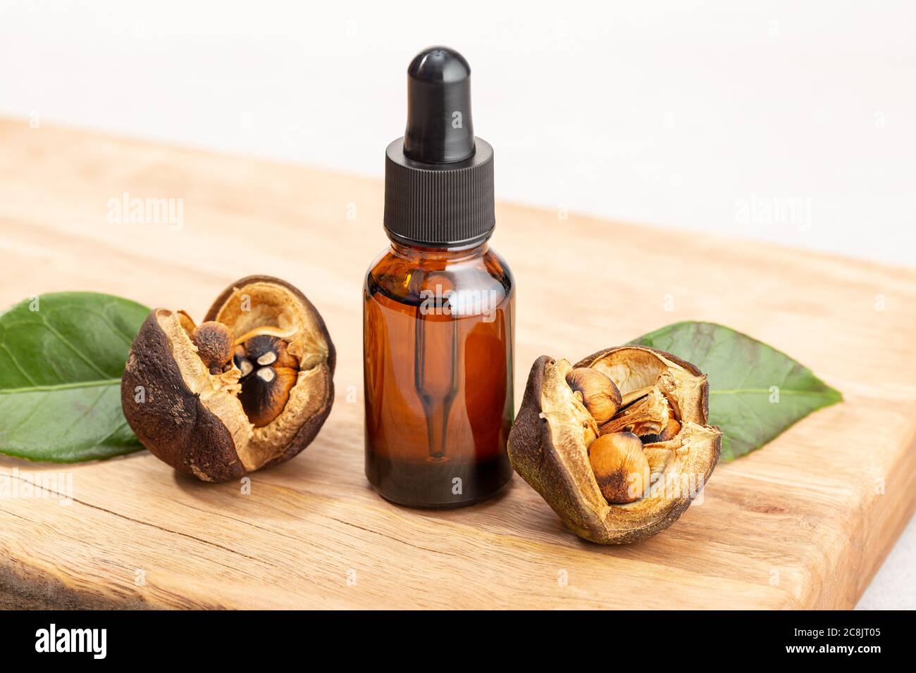 Bottiglia di olio essenziale Camellia e semi di camelia su tavola di legno. Bellezza, cura della pelle, benessere Foto Stock