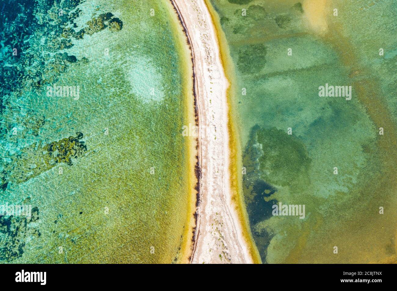 Vista aerea della splendida laguna sul mare Adriatico in Croazia, isola Dugi Otok. Pinete, lunghe spiagge nascoste e superficie di mare smeraldo Foto Stock