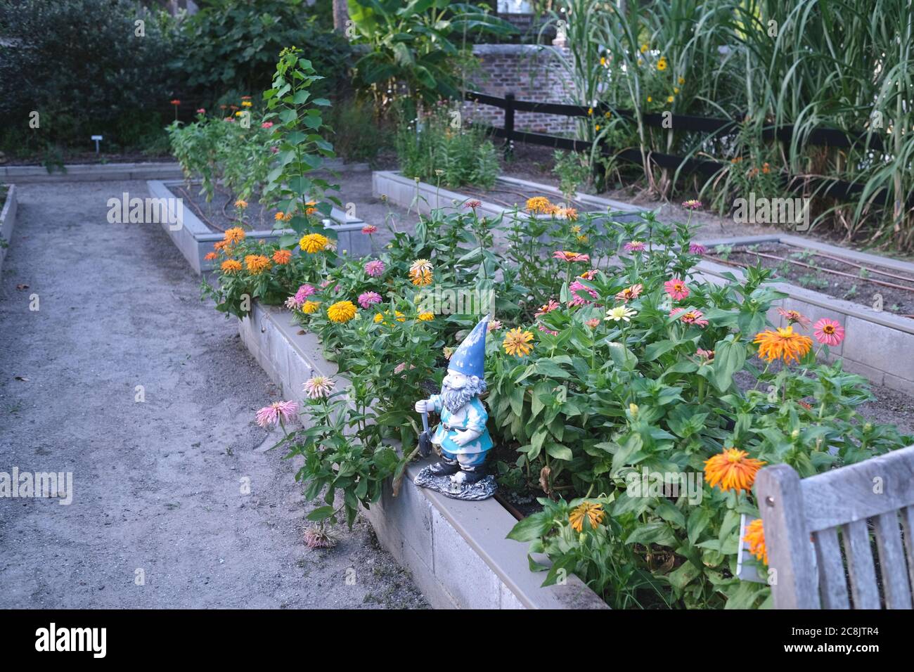 Urban Gardens con singoli appezzamenti in box Peperoni in crescita, Kale, mais, zecca, fiori, broccoli, banane e verdure di stagione Foto Stock