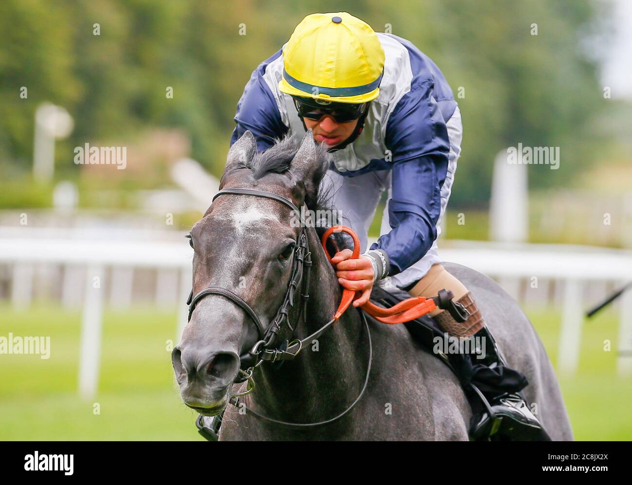 Pretty in Grey guidato dal fantino Stefano Cherchi sulla strada per vincere l'handicap dei British Stallion Stacchs EBF Fillies all'ippodromo di Newmarket. Foto Stock