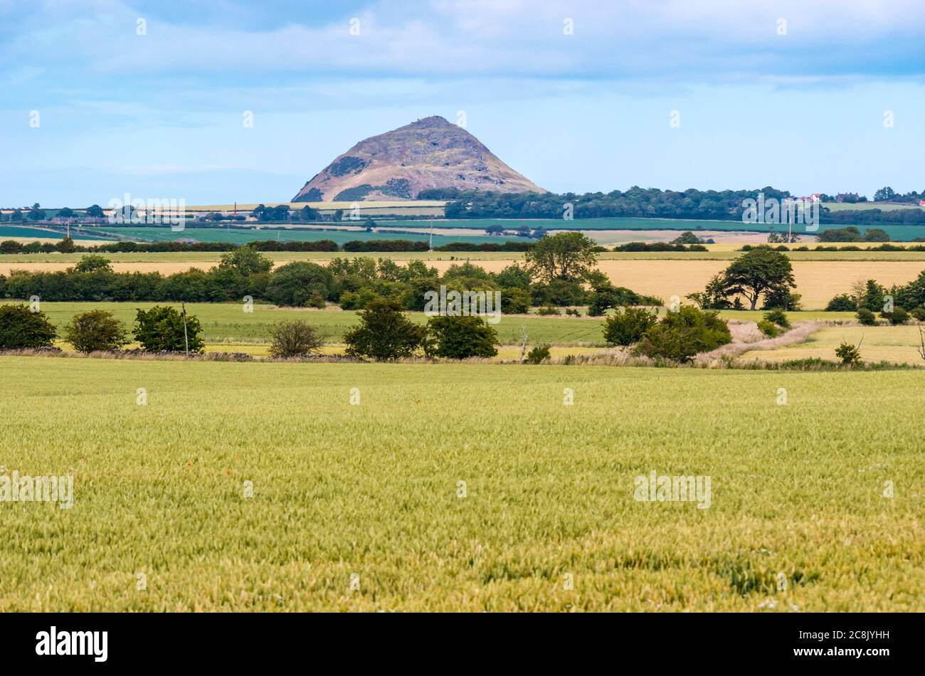 Vista dei resti vulcanici della legge di Berwick attraverso il paesaggio agricolo, in estate est Lothian, Scozia, Regno Unito Foto Stock