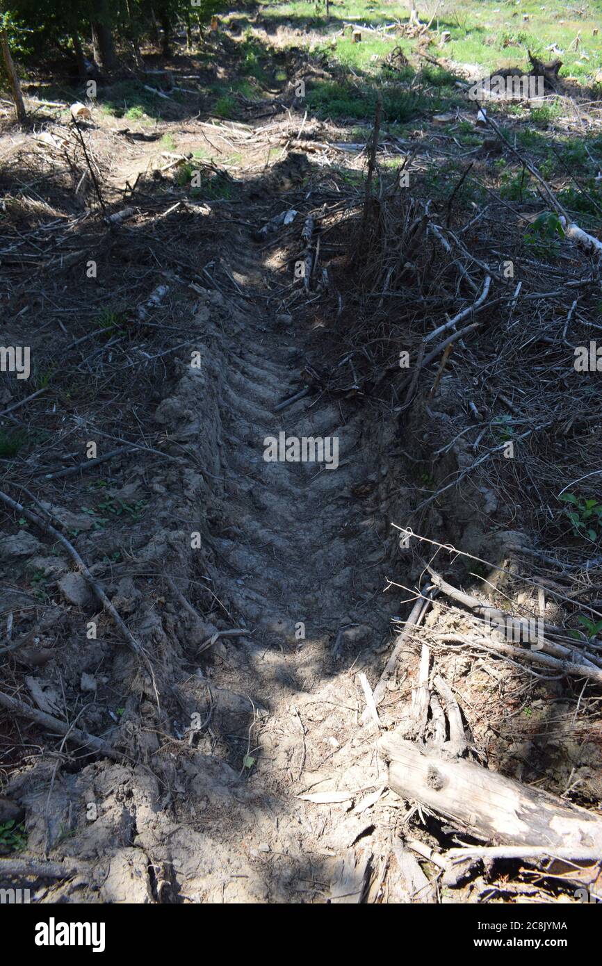 tracce di trattore Foto Stock