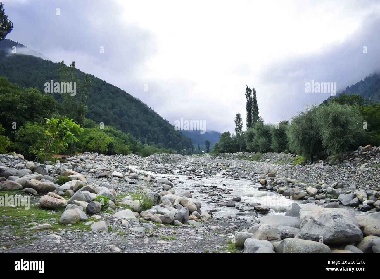 Bella vista delle colline e risaie a Kashmir valle India. Foto Stock