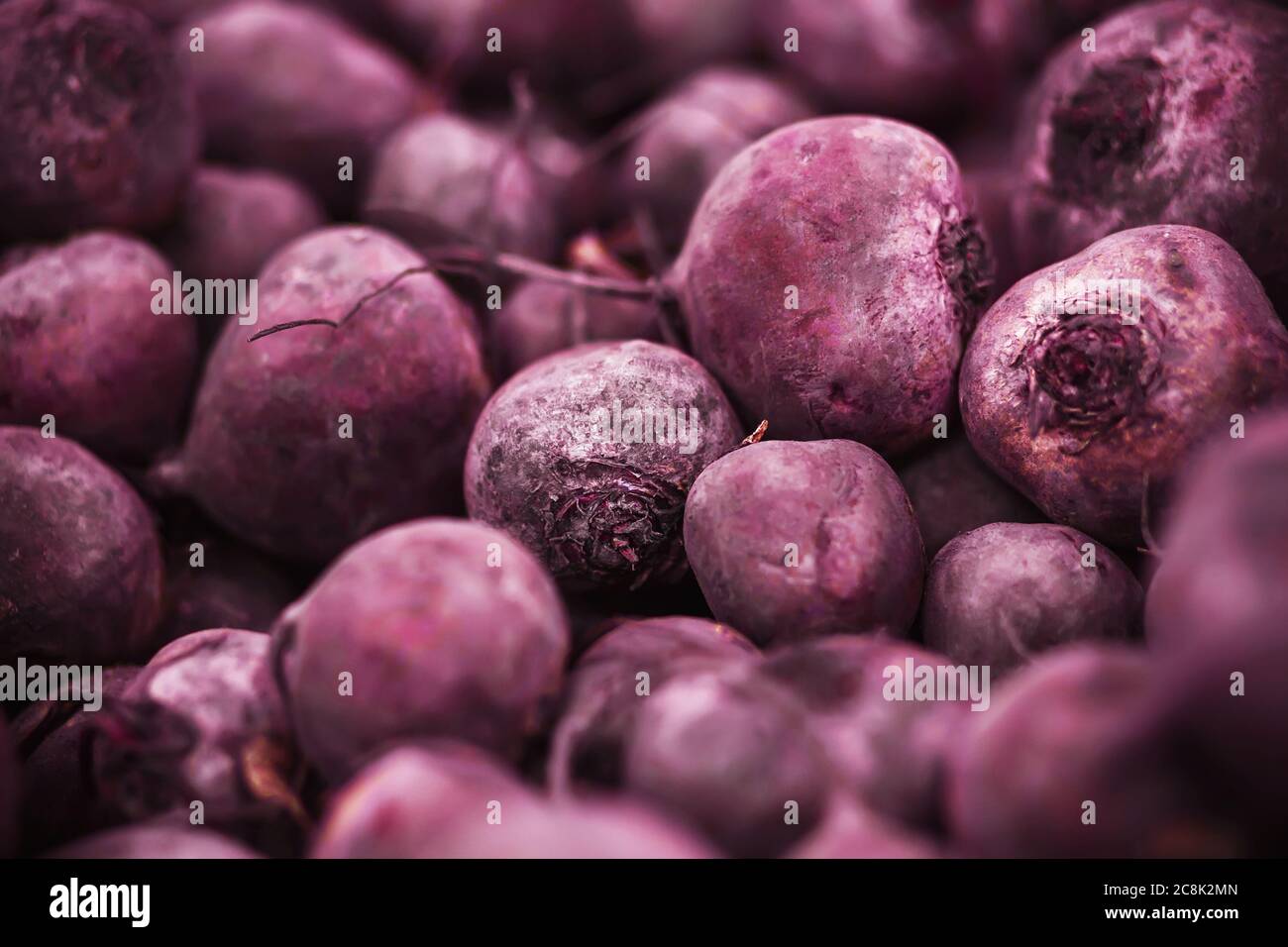 Il negozio di alimentari ha un sacco di tuberi di barbabietole viola fresche e mature. Ingrediente per cucinare. Raccolto ricco. Foto Stock