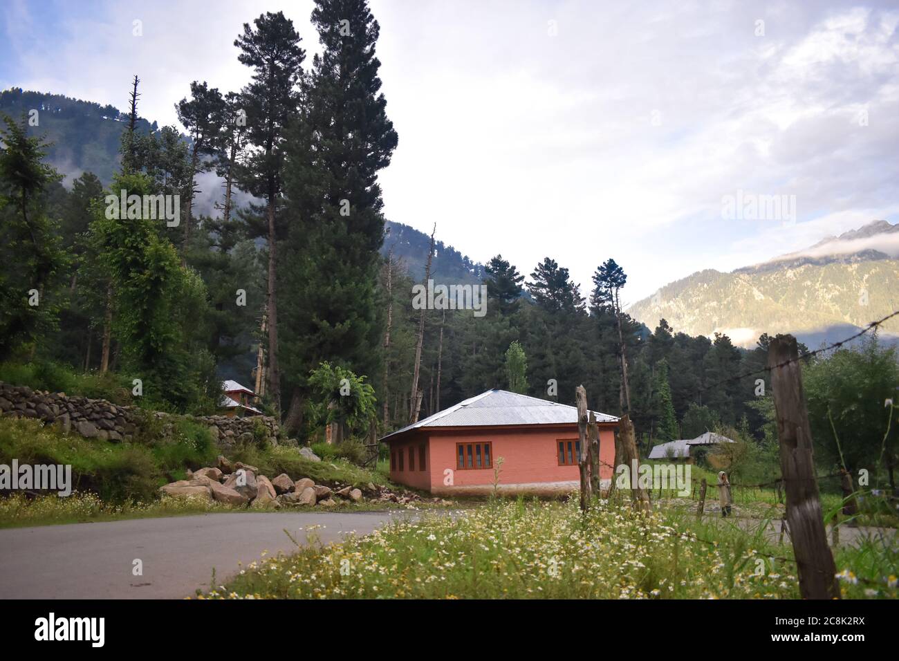 Bella vista delle colline e risaie a Kashmir valle India. Foto Stock