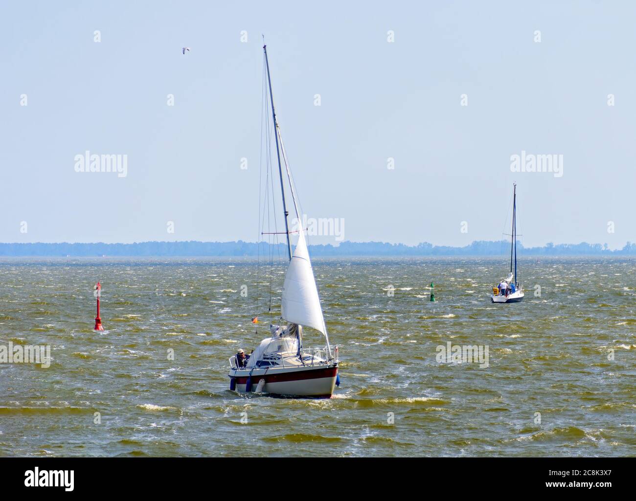 Barche a vela a vento forte sulla Zingster Bodden (laguna) a Meclemburgo-Pomerania, Germania Foto Stock