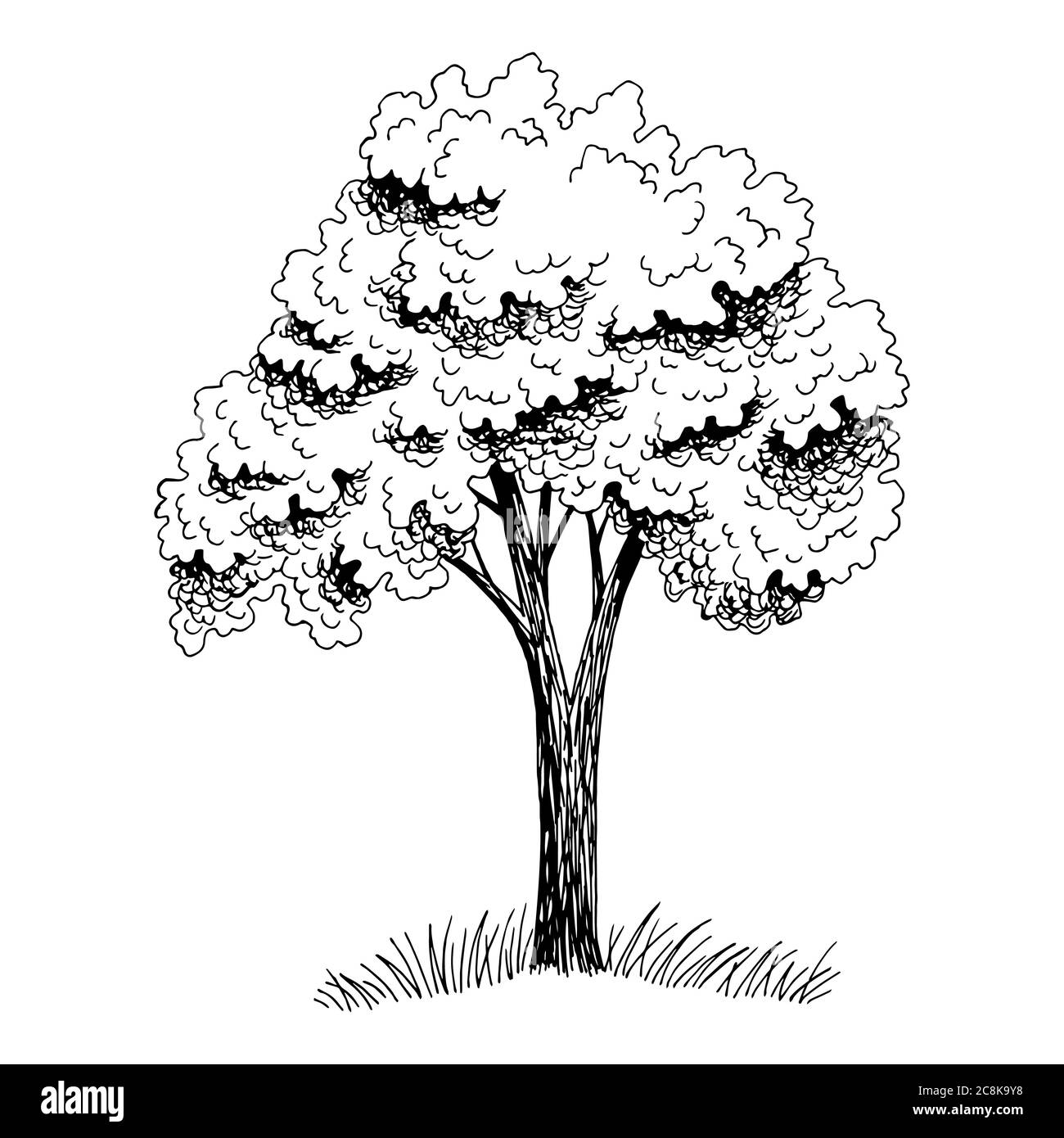 Grafico ad albero vettore di illustrazione dello schizzo isolato in bianco nero Illustrazione Vettoriale