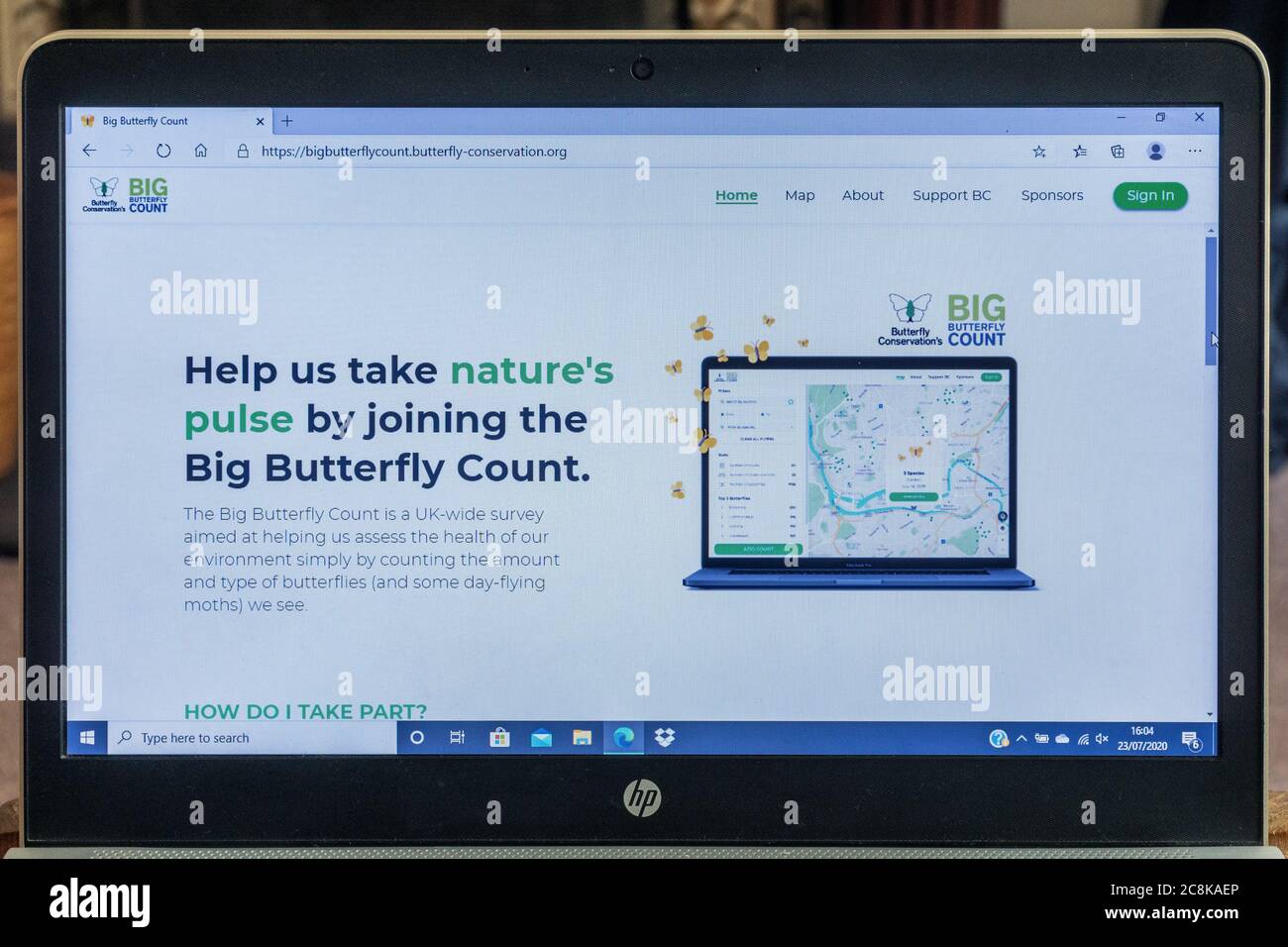Big Butterfly Count sito web per la presentazione dei risultati per Butterfly Conservation, UK, luglio Foto Stock