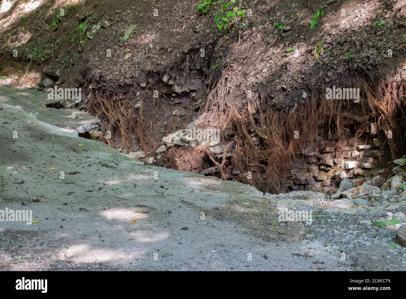 Danni alla strada e radici vuote distrutte dopo un'inondazione Foto Stock