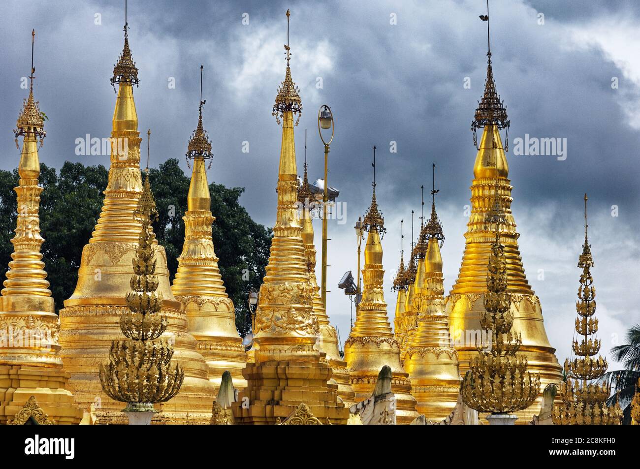 I magnifici stupa placcati oro che circondano la Pagoda Shwedagon a Yangon, Myanmar, formalmente Rangoom, Birmania Foto Stock