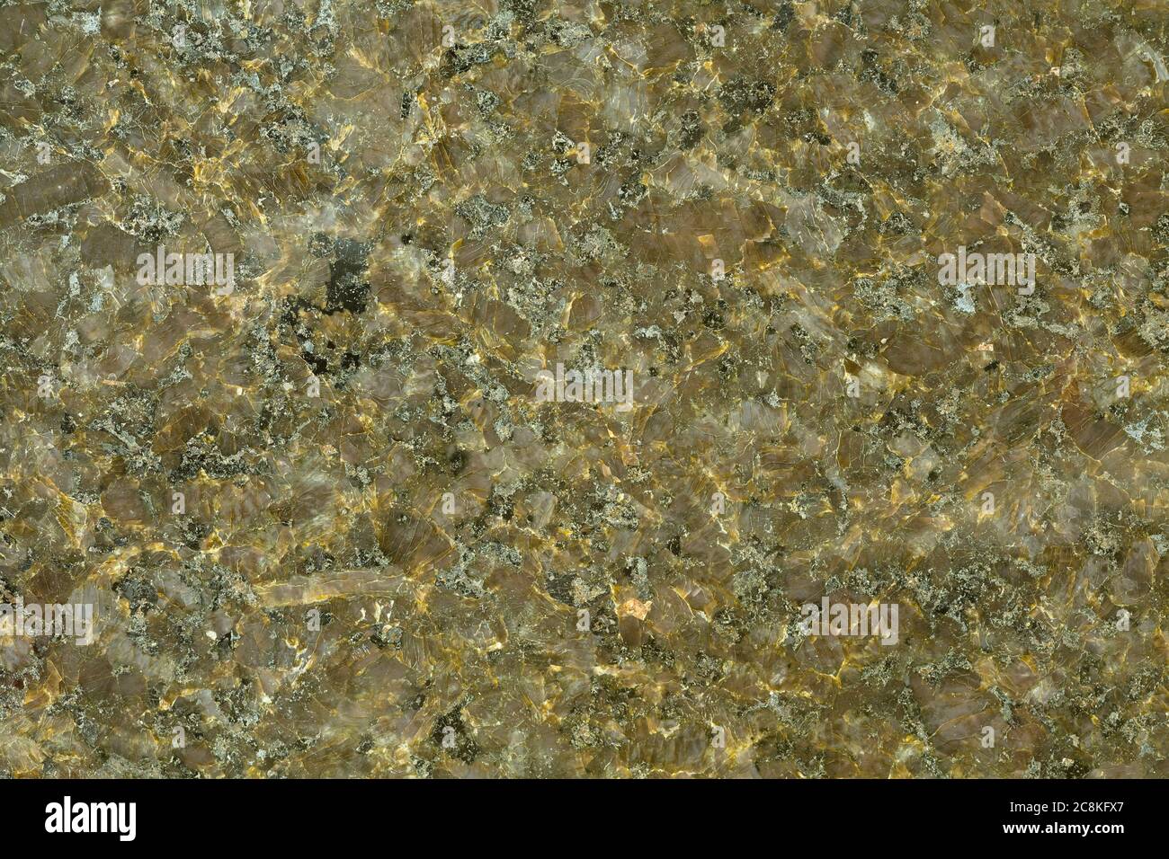 Dettaglio in primo piano della struttura, del motivo o dello sfondo di granito marrone neutro Foto Stock