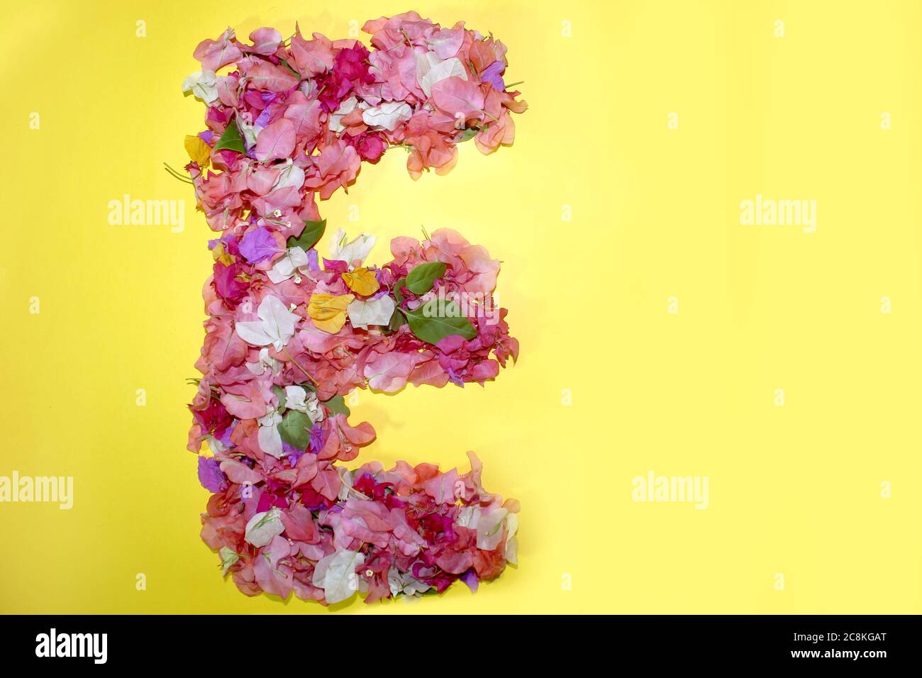 Lettera e alfabeto floreale, fatto di fiori di bougainvillea colorati, lettere di flora meravigliose per decorazioni primaverili uniche e varie idee di creazione, Foto Stock