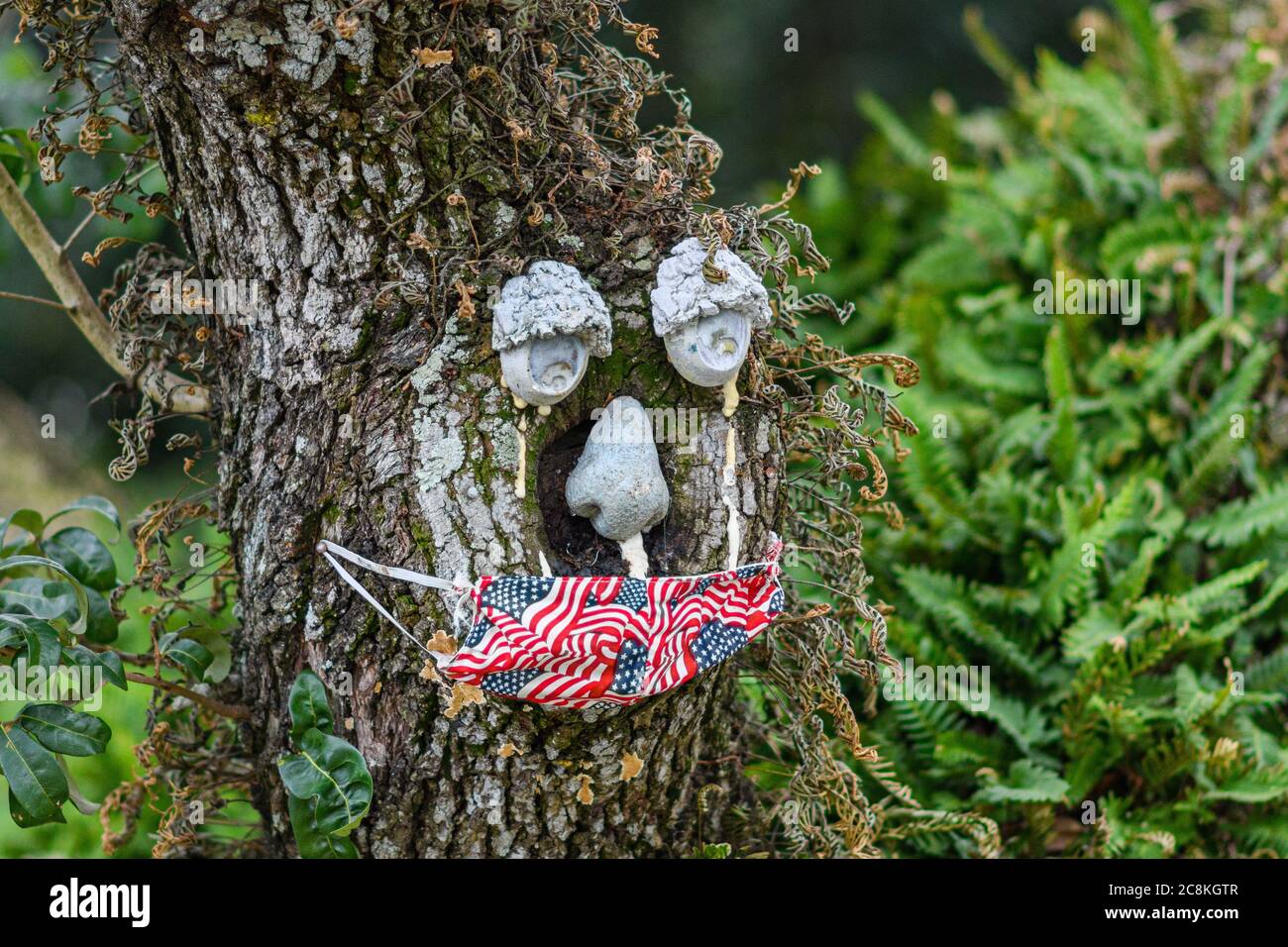 Albero decorato con maschera viso e viso per corona Virus Pandemic Foto Stock