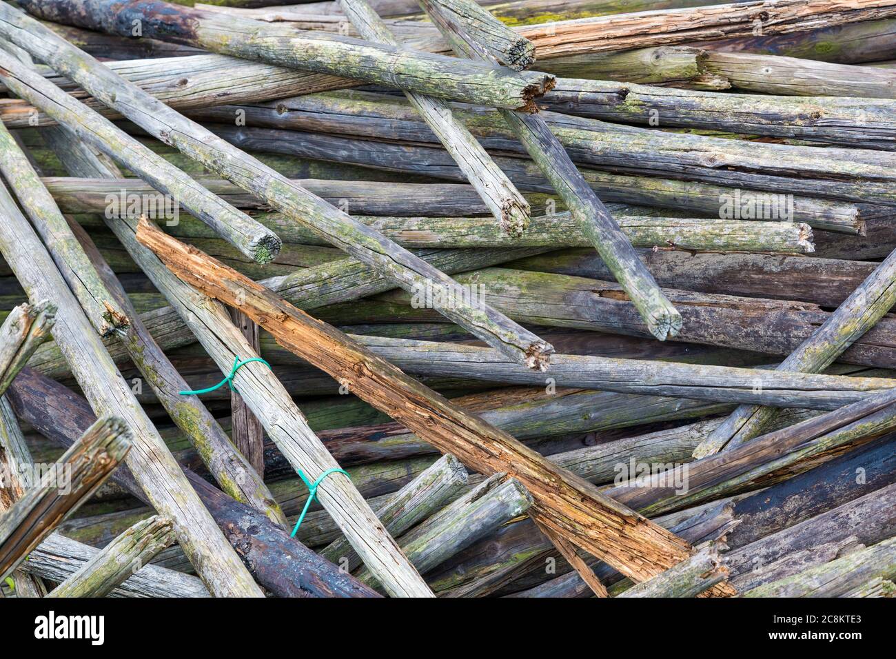 Trama di fondo pila di vecchi pali di legno con depositi verdi Foto Stock