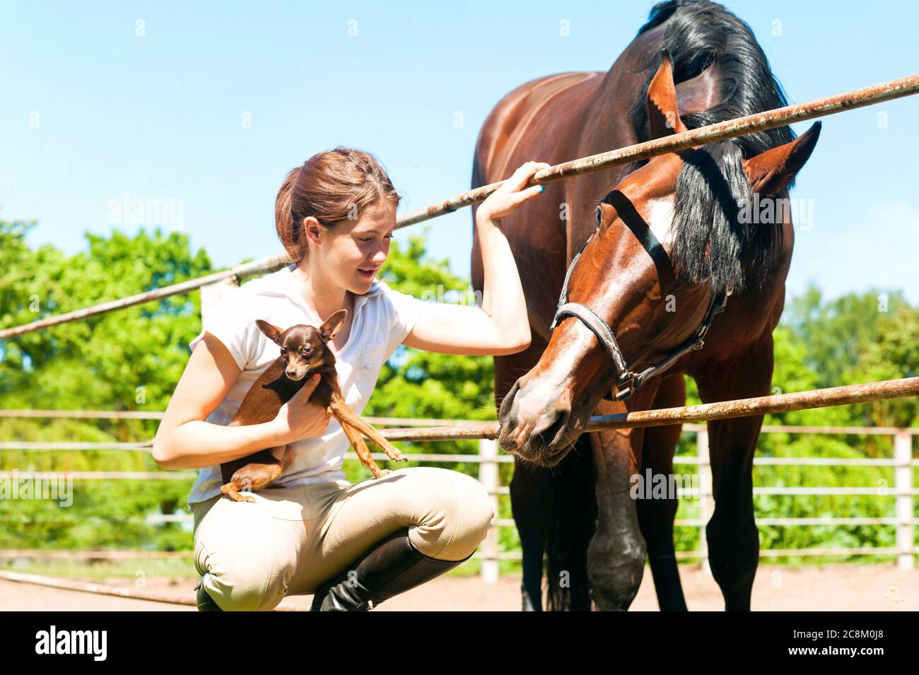 Giovane allegra adolescente ragazza rossa con il suo cavallo di castagno preferito e il suo cane piccolo. Immagine orizzontale esterna dai colori vivaci. Foto Stock