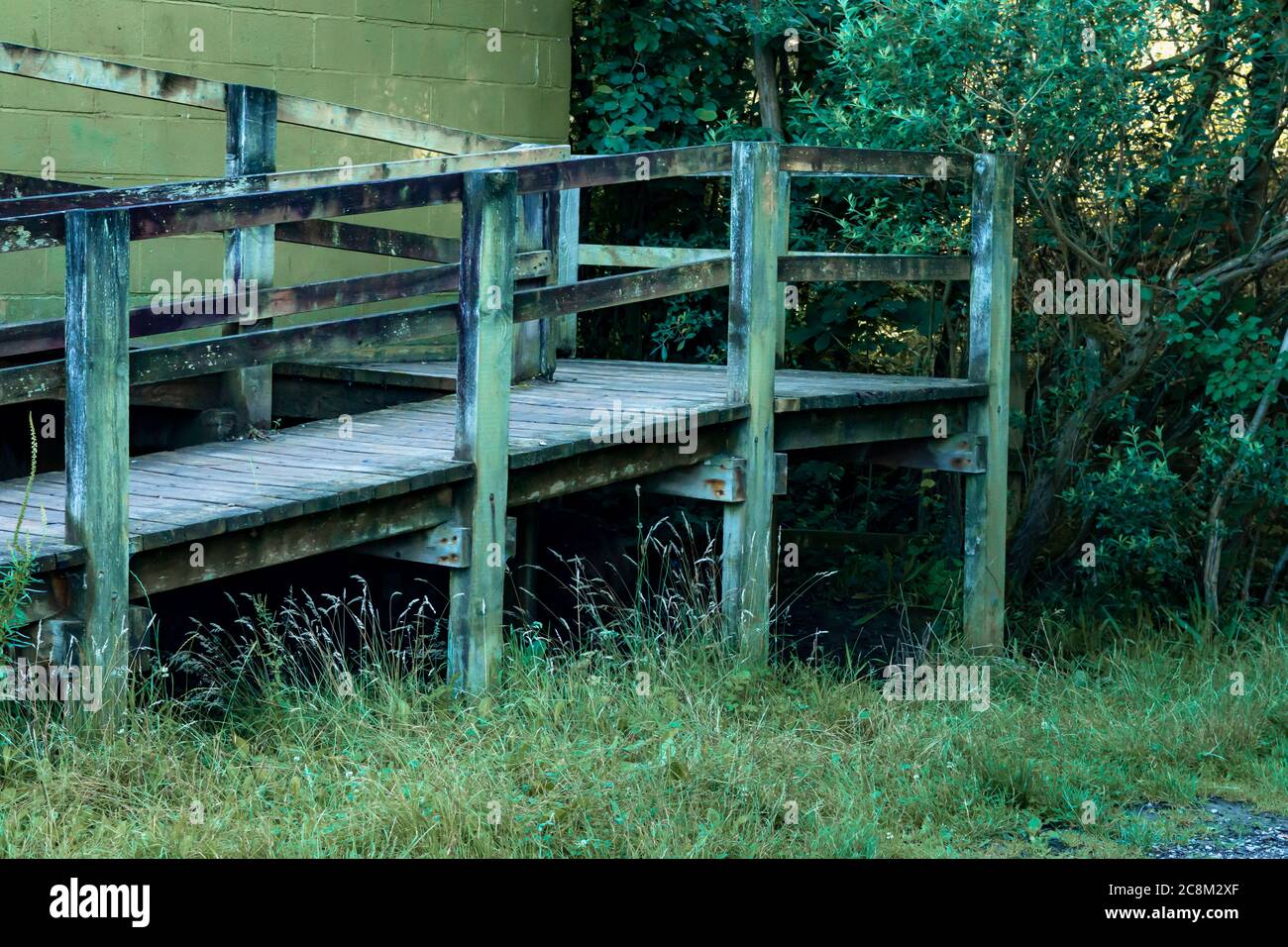 Un sentiero in legno che conduce ad una splendida vista sul lago e sulle paludi. Foto Stock