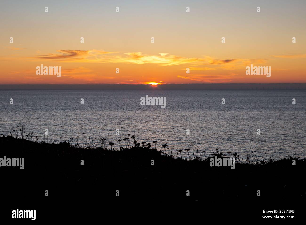Tramonto sull'oceano con piante in primo piano Foto Stock