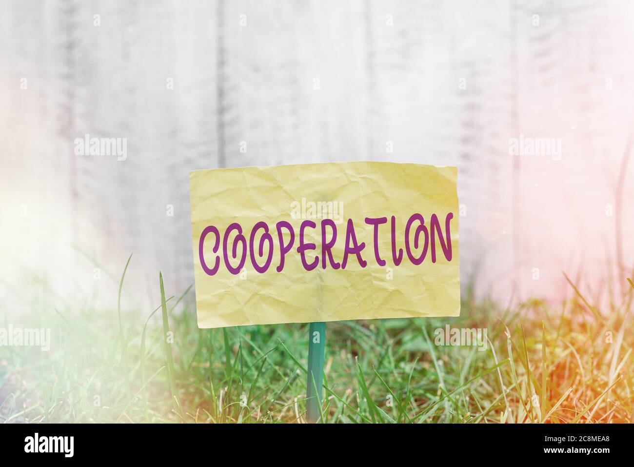 Collaborazione scrittura testo a mano. Azioni concettuali di foto di qualcuno che è stato utile facendo ciò che si desidera carta vuota comune allegata a un Foto Stock