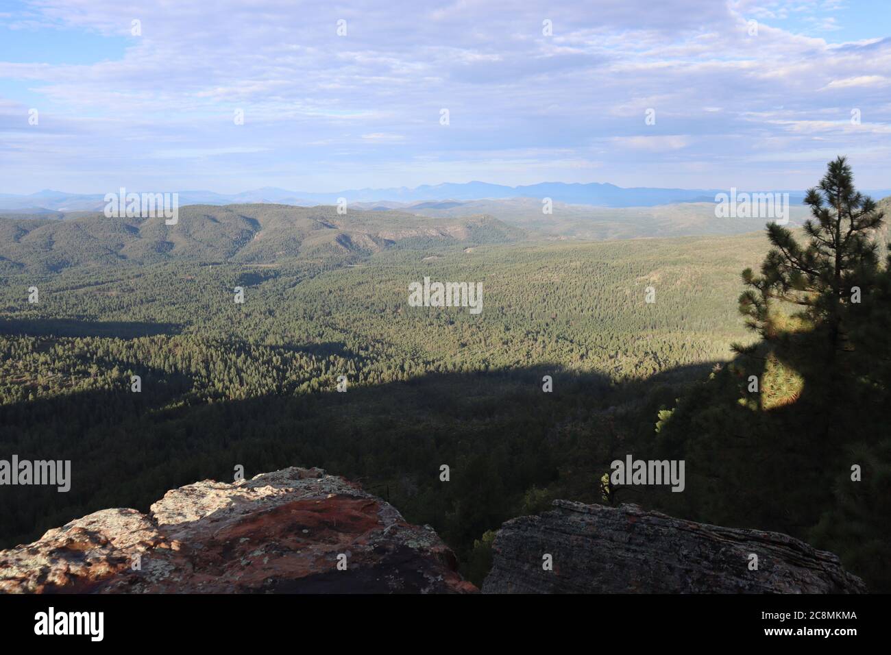 Mogollon Rim Vista, nel nord dell'Arizona. Foto Stock