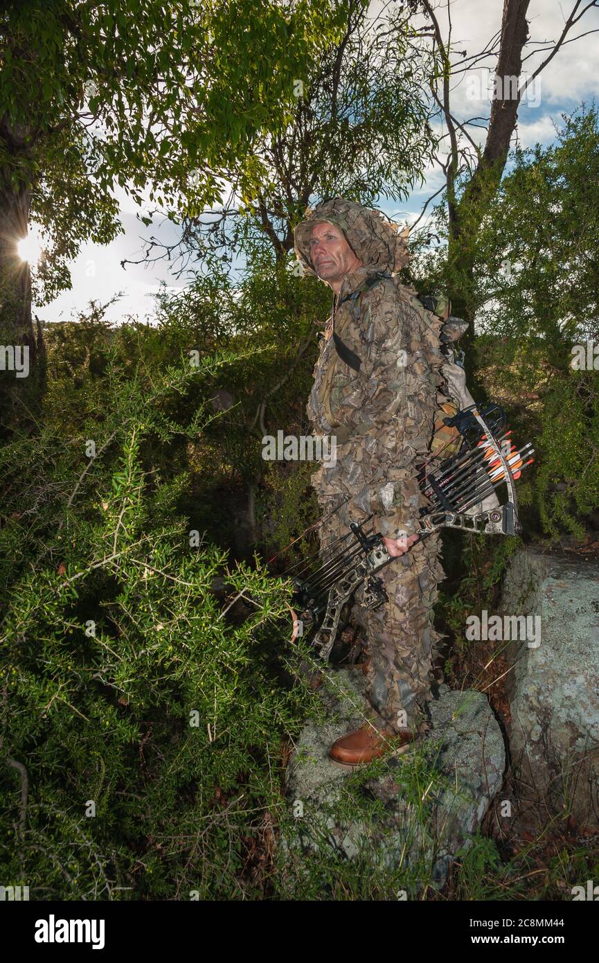 Un bowhunter camuffato in una caccia mattutina nelle Tablelands del New England del nuovo Galles del Sud in Australia, scandisce la terra del cespuglio per la partita. Foto Stock