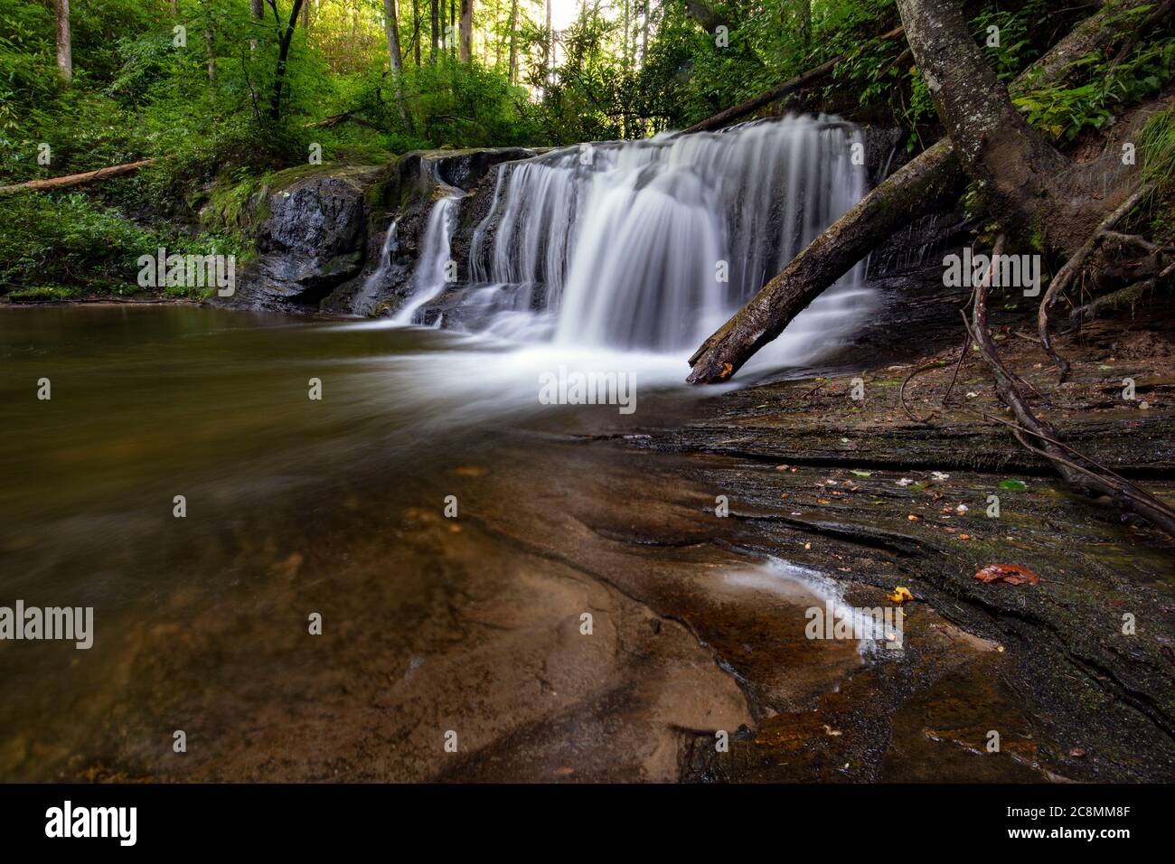 Avery Creek Falls, Pissgah National Forest, Brevard, North Carolina, Stati Uniti Foto Stock