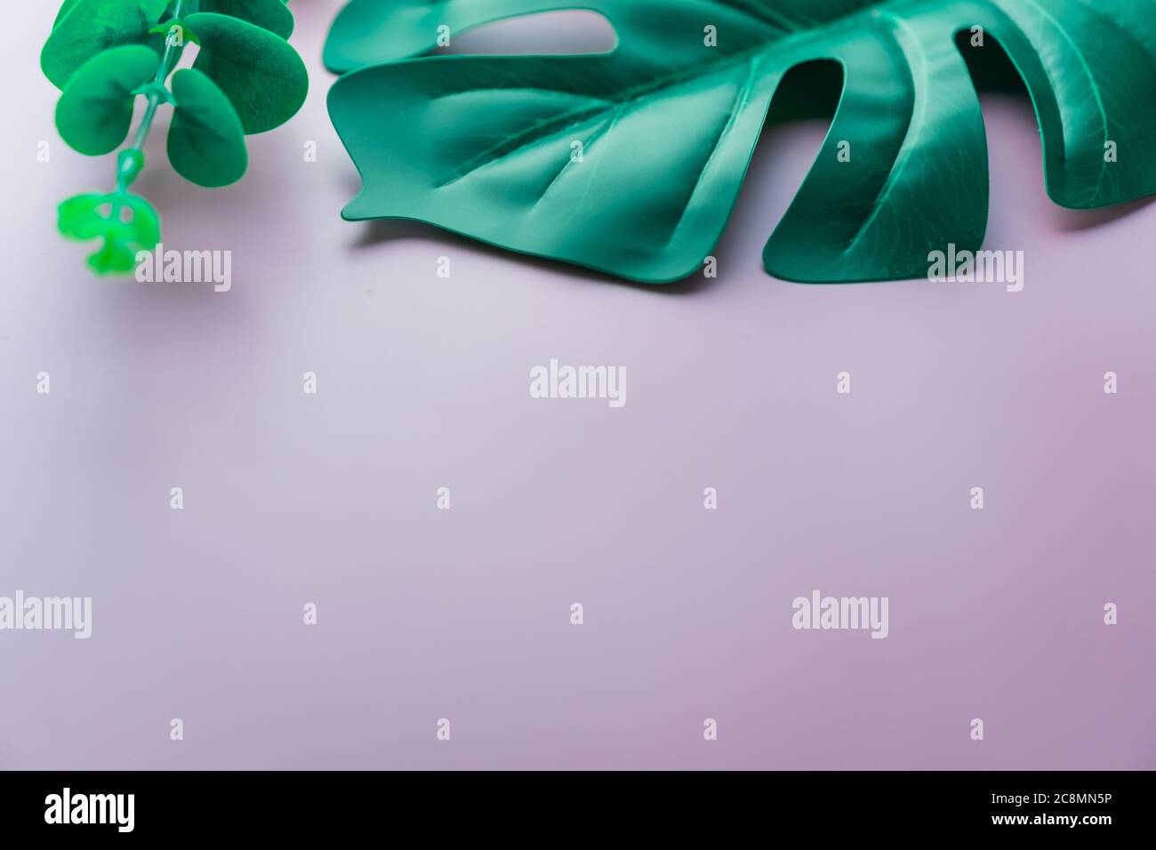 Vista dall'alto della verde natura tropicale foglia su rosa pastello stile vintage tono astratto sfondo con spazio copia. Foto Stock