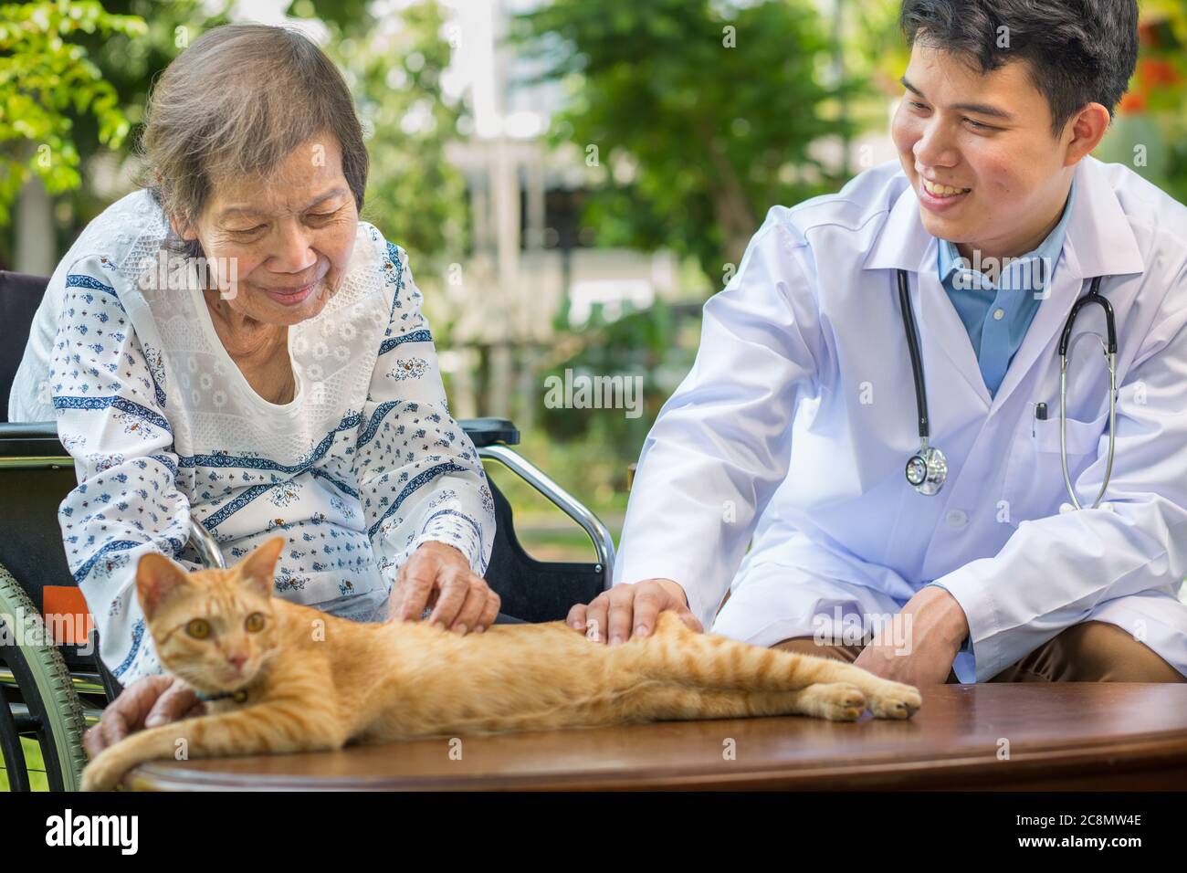 PET terapia per anziani . Gli animali domestici rendono i pazienti più guaritieri e felici. Foto Stock