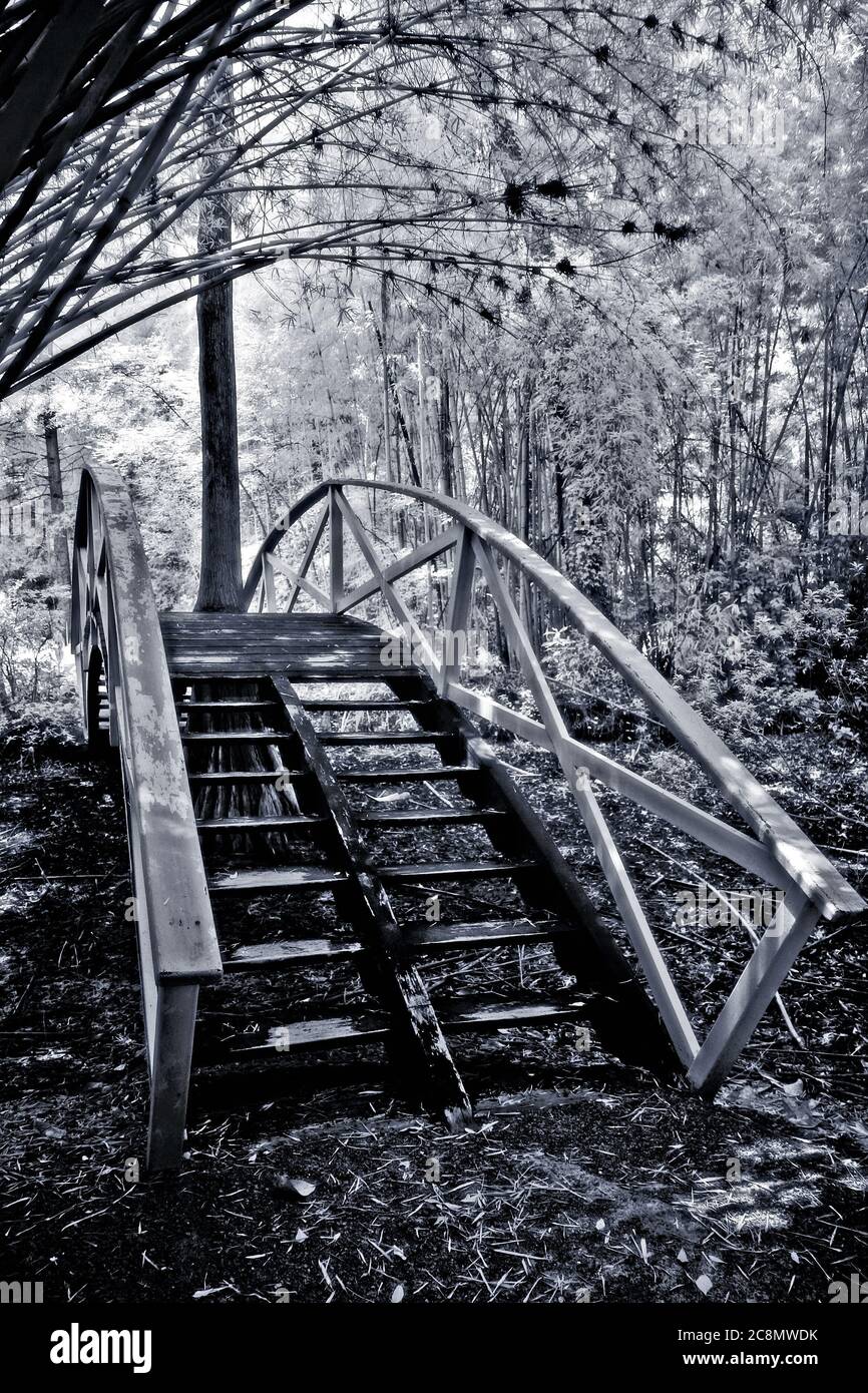 Un ponte non necessario. Foto Stock