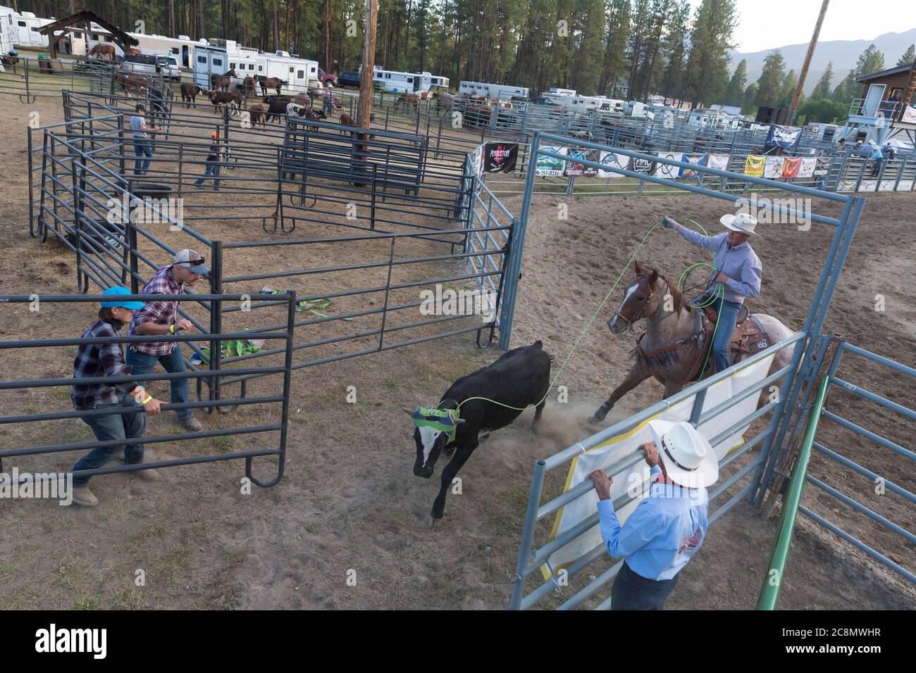 I Cowboys si sfidano nella gara di canottaggio del fiume Kootenai a Libby, Montana, venerdì 24 luglio 2020. Il rodeo annuale è stato organizzato con ulteriori misure di sicurezza in atto a causa dei crescenti casi di COVID-19 nello stato. Foto Stock