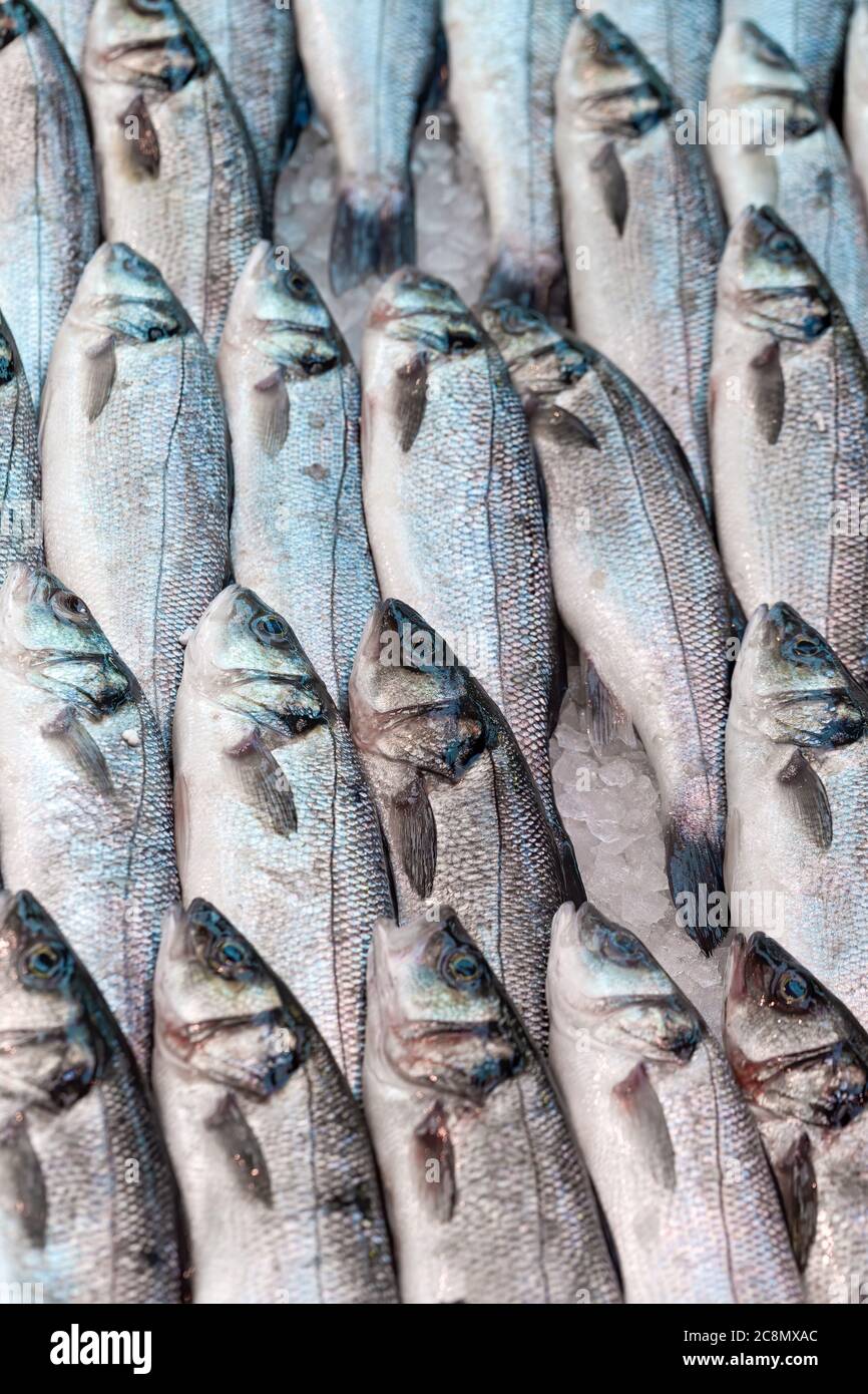 Spigola fresca, Dicentrarchus labrax, in mostra su una bancarella inglese del mercato dei pescatori Foto Stock