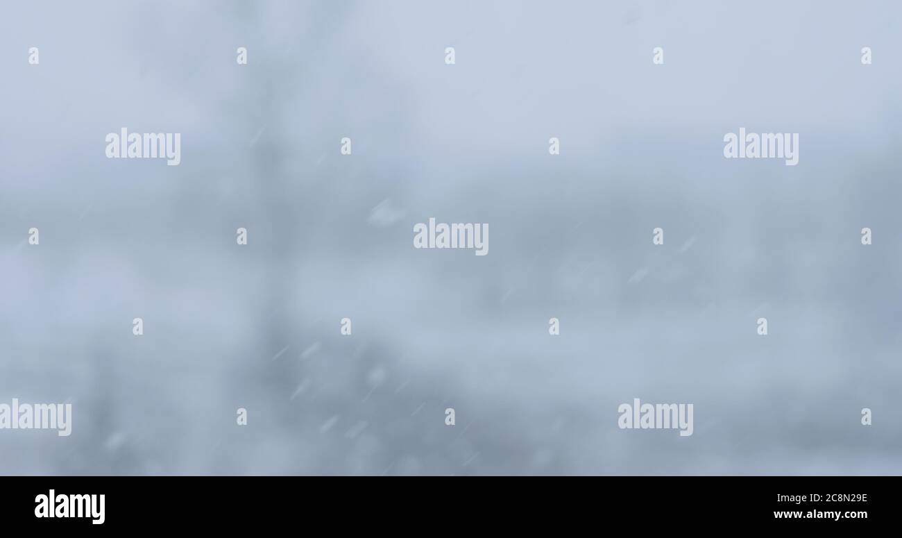 nevicate con foresta sfocata su uno sfondo Foto Stock