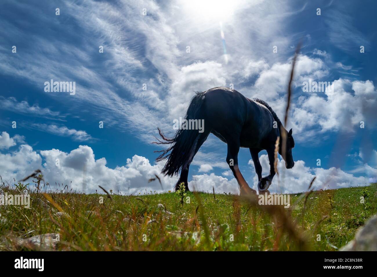 Vista sulla campagna irlandese con cavallo nero nella contea di Donegal. Foto Stock