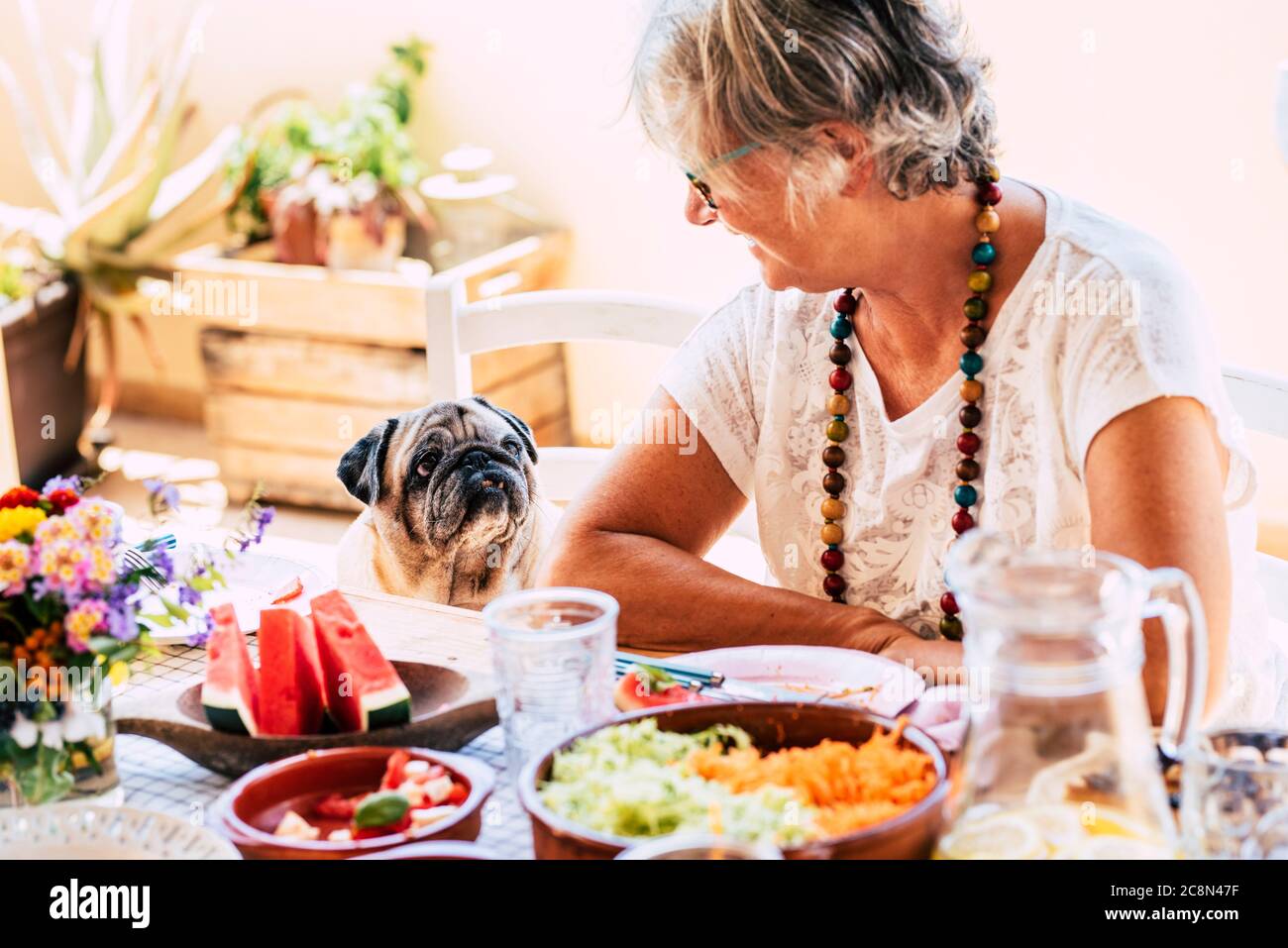 Amici concetto con umano e animale come terapia animale domestico - pug bella cane vecchio e donna anziana al tavolo guardando in amicizia Foto Stock