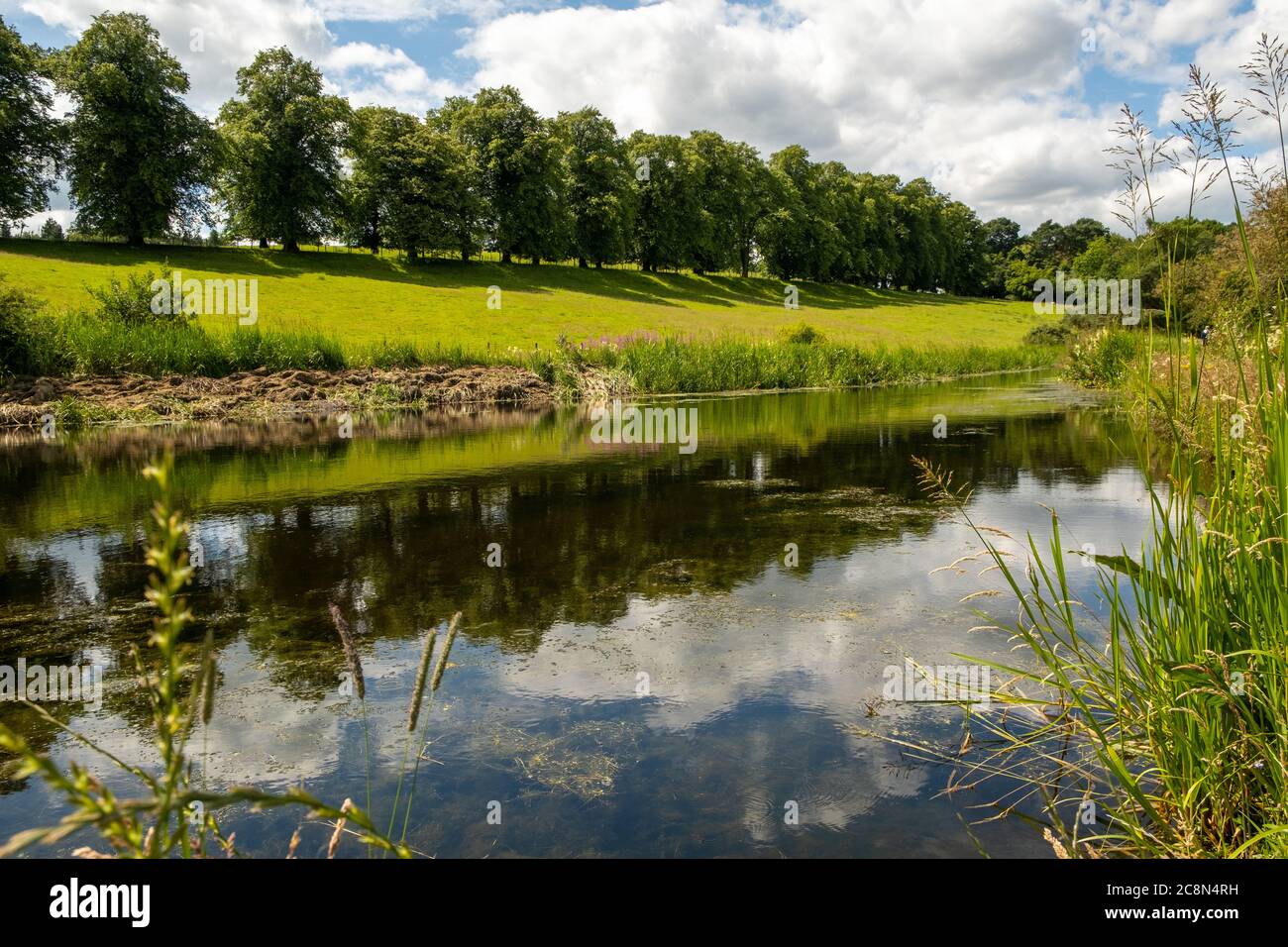 Union Canal, West Lothian, Scozia, Regno Unito Foto Stock