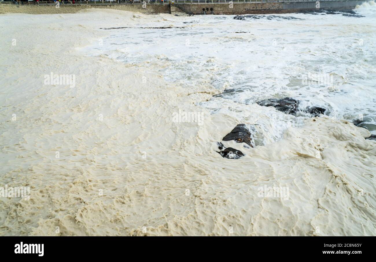 Schiuma di mare, spuma, schiuma di oceano, fiore di alghe che si lavano su una spiaggia durante un'alta marea o marea di primavera durante una tempesta invernale nel concetto di tempo di Città del Capo Foto Stock