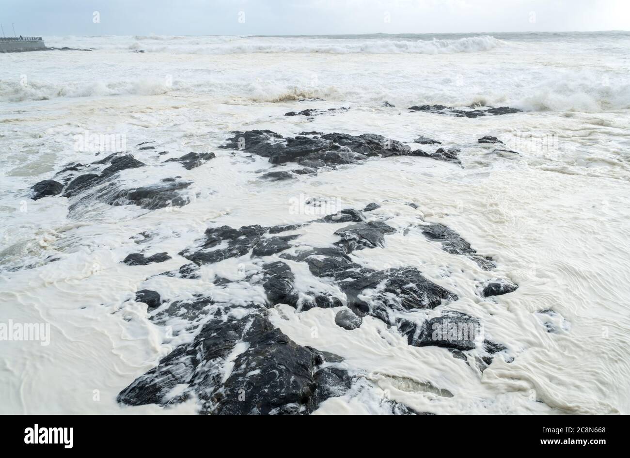 Schiuma di mare, schiuma di oceano, spuma, fioritura di alghe, copre la superficie del mare o dell'oceano su una marea di alta acqua di primavera durante la stagione invernale a Città del Capo Foto Stock