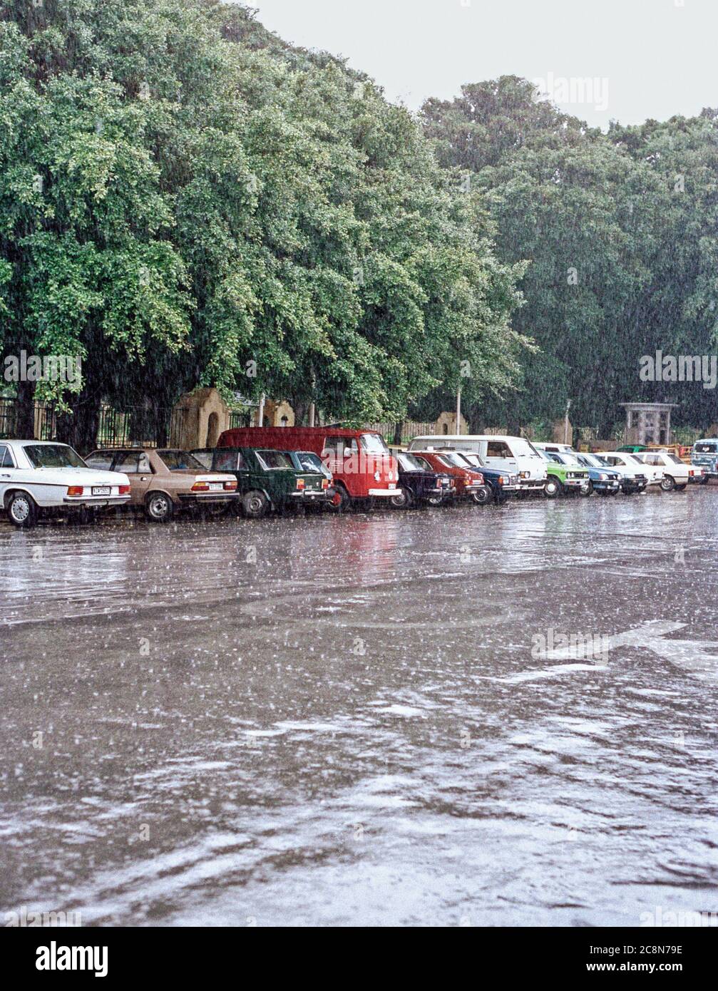 Quando è piovuto a Rodi, trasversa la Pasqua 1990. Rodi Grecia archivio foto scansionata Foto Stock